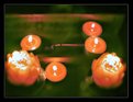 Picture Title - CandleMagic