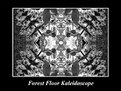 Picture Title - Forest Floor Kaleidoscope
