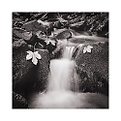 Picture Title - Little waterfall
