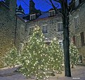 Picture Title - winter holidays in Québec City