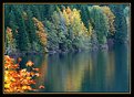 Picture Title - Sproat Lake Autumn