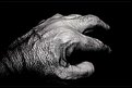 Picture Title - The Hand of Time