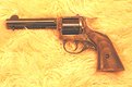 Picture Title - 22 H&R Revolver