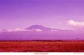 Picture Title - Mt. Kilimanjaro