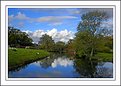 Picture Title - The pond at Horningsham