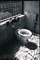 Picture Title - toilet