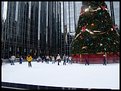 Picture Title - Ice Rink