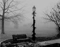 Picture Title - Foggy Bench at Christmas