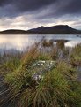 Picture Title - Stormy Evening at Tewet Tarn