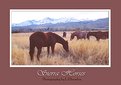 Picture Title - Grazing in the Sierras