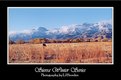 Picture Title - Cow Pasture "Sierra Winter"