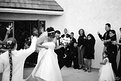 Picture Title - White Wedding