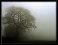 Picture Title - Fog