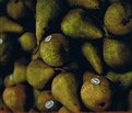 Picture Title - pears