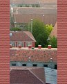 Picture Title - Roofs & bricks