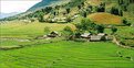 Picture Title - Lao Chai tribal hamlet