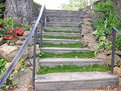 Picture Title - Nature's Stairs