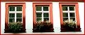 Picture Title - German Windows - II