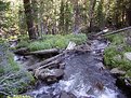 Picture Title - stream split in two