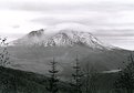 Picture Title - Mt. St. Helens 3