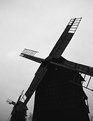 Picture Title - gone with the windmills