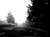 a foggy morning