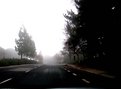 Picture Title - a foggy morning