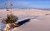 White Sands