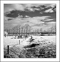 Picture Title - Winter IR - 2