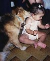 Picture Title - the best friend of the human!