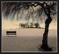 Picture Title - Winter