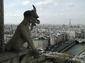 Picture Title - Gargola en Notre Dame, Paris