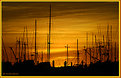 Picture Title - sunset masts