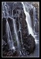 Picture Title - McKenzie Falls