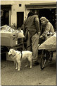 Picture Title - street..io non ci passo...