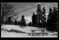 Picture Title - quiet winter