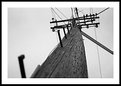 Picture Title - telephone pole