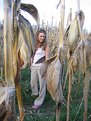 Picture Title - Girl of the Corn