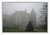 Misty Country-House
