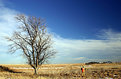 Picture Title - Hunting Landscape