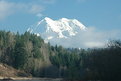 Picture Title - Mt Rainier-1