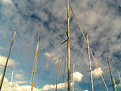 Picture Title - Mast Ahoy