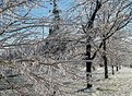 Picture Title - Frozen among the trees...