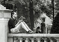 Picture Title - A nice day to read a good book