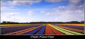 Picture Title - Colorful Natural Carpet