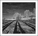 Picture Title - Aalter landscape