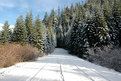 Picture Title - Road to Winter