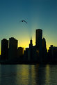 Picture Title - Chicago