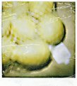 Picture Title - Lemons - Polaroid 600