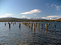 Picture Title - Windermere pilings